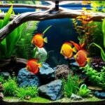 Vibrant Discus Aquascape featuring bright orange discus fish swimming among lush aquatic plants, twisted driftwood, and colorful rocks, creating a dynamic and visually appealing underwater habitat.