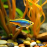 A colorful Ember Tetra fish swimming elegantly among vibrant aquatic plants, displaying its iridescent blue scales and orange tail in a beautifully arranged aquarium with a variety of smooth pebbles and rocks.