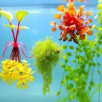 Bright and colorful floating aquarium plants in an underwater setting, displaying a variety of shapes and vivid hues that enhance the visual appeal of the tank.