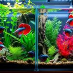 aquarium fish breeding